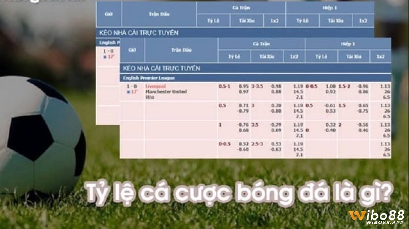 Tìm hiểu chi tiết nhất về khái niệm tỷ lệ cá cược tỷ số bóng đá nhé