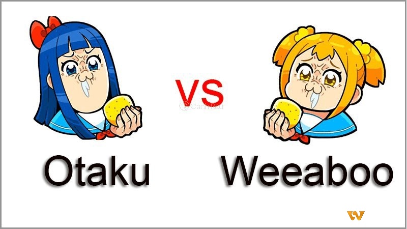 Quý bửu là gì - Liệu weeaboo có giống otaku?