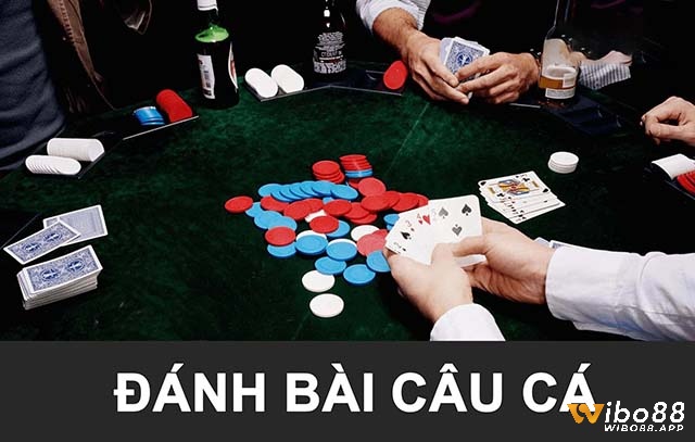 Cách chia bài câu cá 2 người - Tìm hiểu bài câu cá là gì?