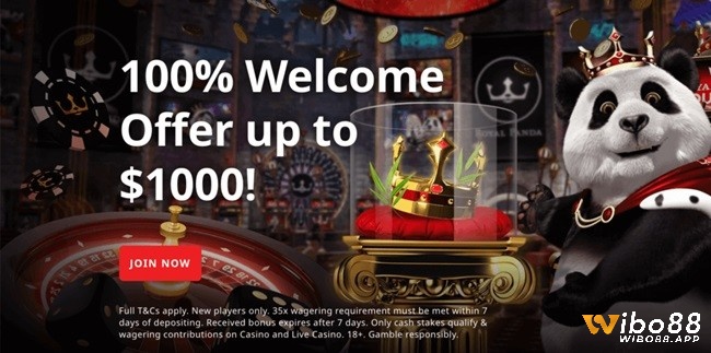Nhận 1.000 USD khi tham gia ưu đãi thưởng chào mừng 100% giá trị thẻ nạp