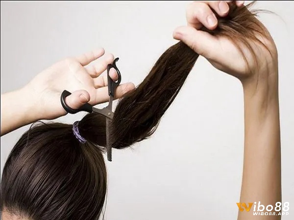 Chiêm bao thấy cắt tóc có thể là điềm cát hoặc hung