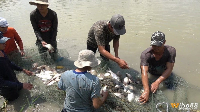 Chiêm bao thấy bắt cá được giải mã theo từng bối cảnh