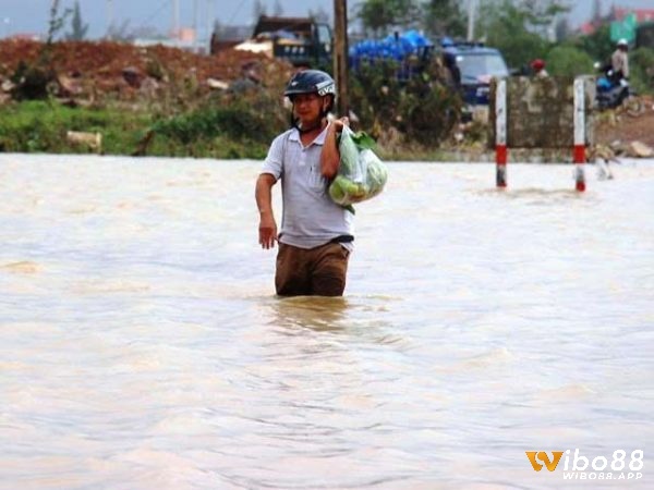 Dựa vào tình tiết mơ để có được điềm báo