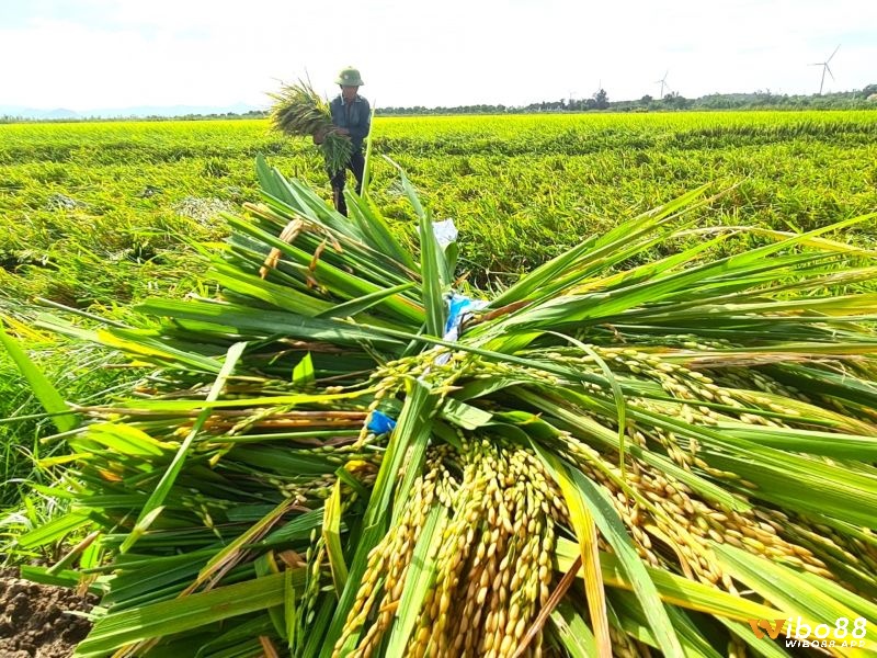 Ghi nhớ những gì trong mơ để nắm bắt dự báo chuẩn xác