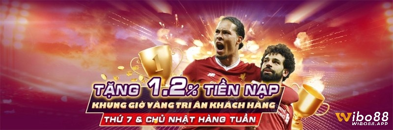 Cược kèo tài xỉu 1.75 uy tín và an toàn với ưu đãi hấp dẫn tại Wibo88