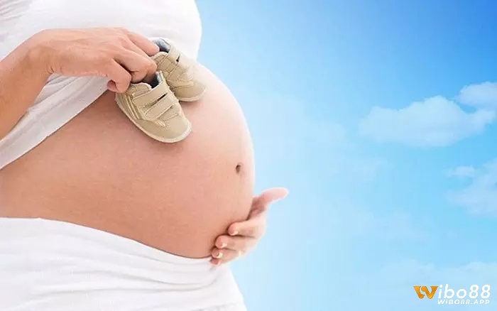Mơ thấy có bầu chứa đựng phía sau những ý nghĩa đặc biệt