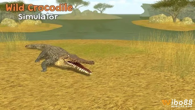 Crocodile Hero: Wild Simulator cho phép điều khiển cá sấu với kỹ năng đặc biệt, chiến đấu và sinh tồn trong môi trường đa dạng