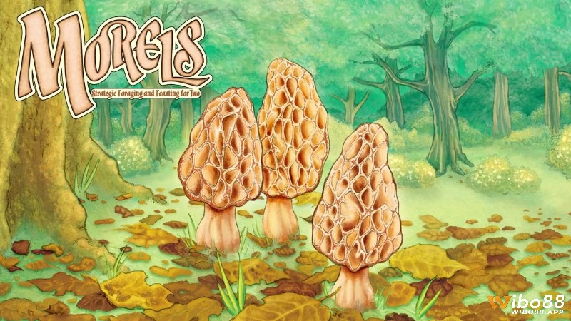 Trò chơi hai người miễn phí đặc sắc Morels
