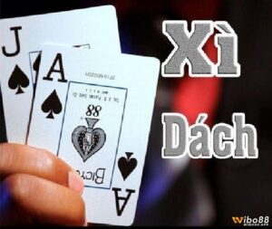 Xì dách đổi thưởng hấp dẫn, giải trí đặt cược cùng wibo88
