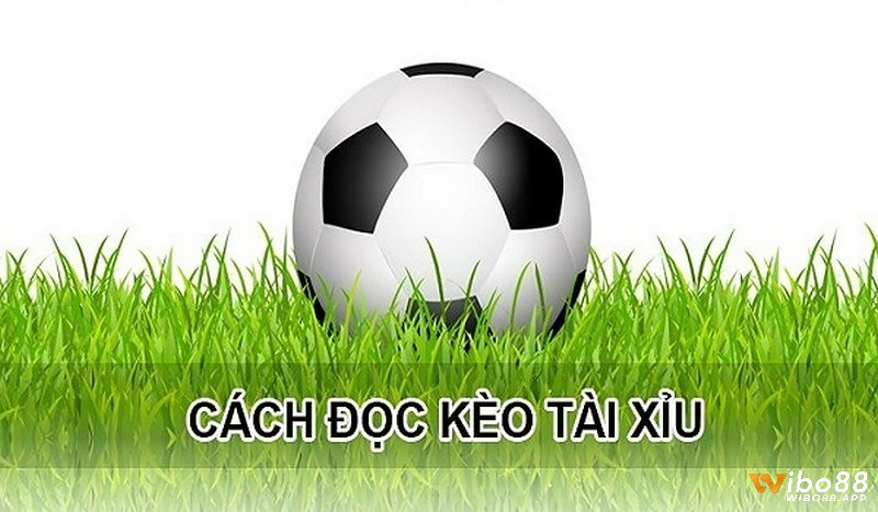 Sử dụng FlashScore, SofaScore hoặc Transfermarkt để có số liệu chi tiết và dự đoán khách quan hơn