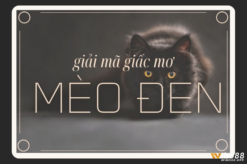 Giải mã giấc mơ thấy mèo đen theo bối cảnh mơ