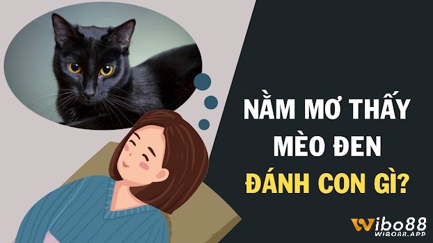 Giải mã giấc mơ thấy mèo đen có số đề tài lộc