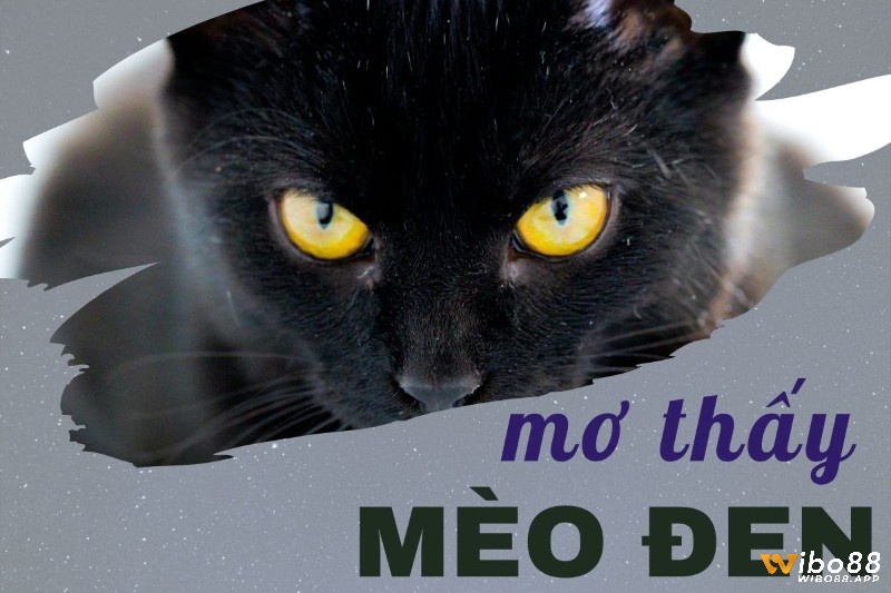 Mơ mèo đen thường liên quan tới điều bí ẩn