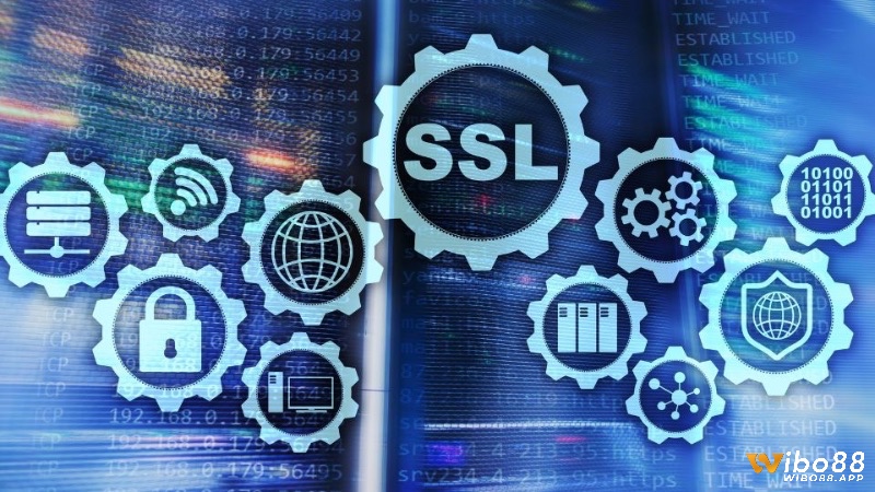 Bảo mật SSL và hỗ trợ khách hàng 24/7 là tiêu chí quan trọng khi chọn nền tảng top game quay hũ .
