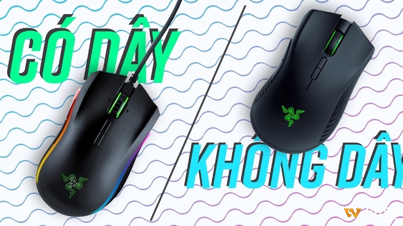 Sự khác biệt giữa chuột có dây và không dây ngày càng thu hẹp nhờ công nghệ kết nối hiện đại.