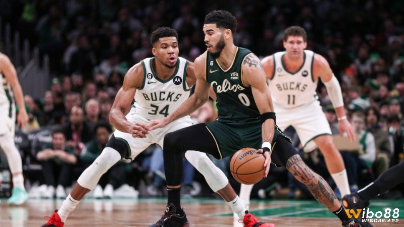 Yếu tố quyết định mức chấp của nhà cái