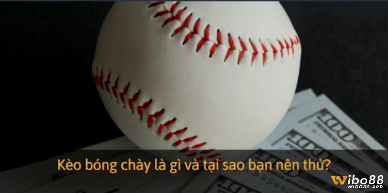 Kèo cược bóng chày là gì?