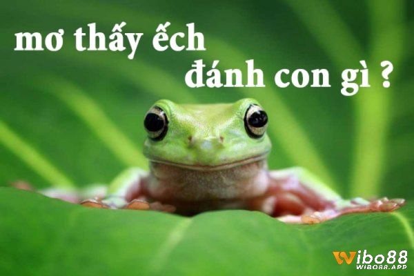 Mơ thấy ếch đánh con gì giúp trúng thưởng lô đề? 