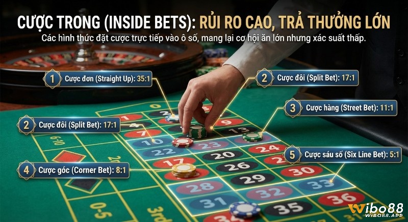 Tổng quan Cược trong (Inside Bets) Roulette ăn lớn, rủi ro cao, minh họa 5 kiểu đặt chip và tỷ lệ trả thưởng rõ ràng trong hệ thống các loại cược roulette