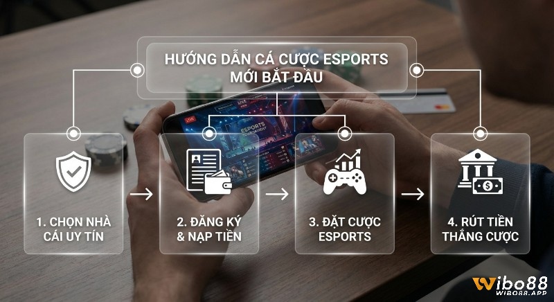 Quy trình 4 bước hướng dẫn cá cược Esports cho người mới bắt đầu trên điện thoại, từ chọn nhà cái đến rút tiền thắng cược