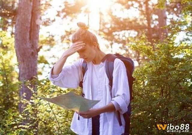 Giấc mơ thấy đi lạc vào rừng thể hiện cho cảm giác hoang mang mất phương hướng trong cuộc sống của bạn