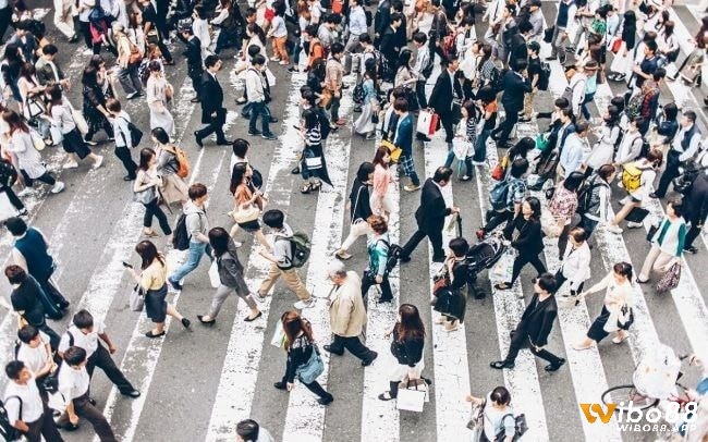 Giấc mơ thấy đi lạc đường gặp nhiều người lạ phản ánh cảm giác bối rối trong các mối quan hệ xã hội của bạn