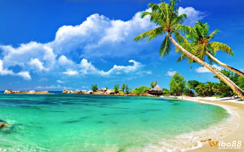 Giấc mơ thấy biển xanh trong ngũ hành thể hiện cho sự linh hoạt và trí tuệ của bạn