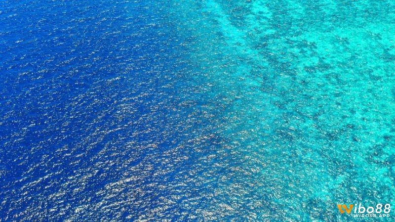 Mơ thấy nước biển xanh ngắt, lặng sóng thể hiện cho sự bình yên trong cuộc sống của bạn