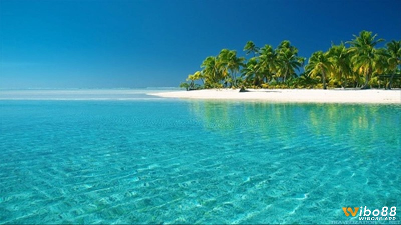 Giải mã giấc mơ thấy biển xanh số mấy và các điềm báo liên quan