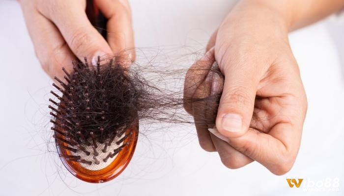 Giấc mơ rụng tóc phản ánh những lo lắng và áp lực trong cuộc sống của bạn